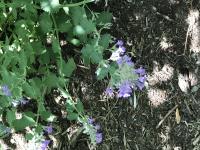 View photo in a new window