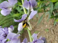 View photo in a new window