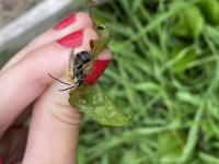 View photo in a new window