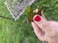 View photo in a new window