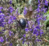 View photo in a new window