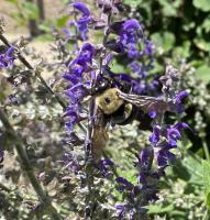 View photo in a new window