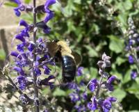 View photo in a new window