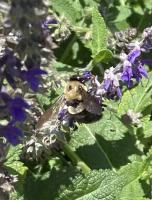 View photo in a new window