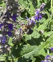 View photo in a new window