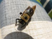 View photo in a new window