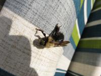 View photo in a new window