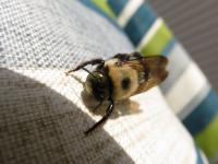 View photo in a new window