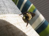 View photo in a new window