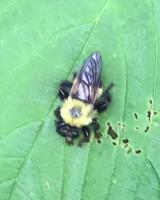 View photo in a new window