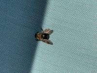 View photo in a new window