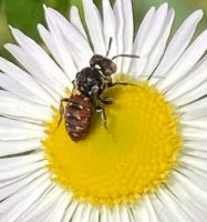 View photo in a new window