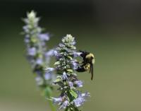 View photo in a new window