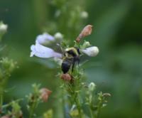 View photo in a new window