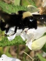 View photo in a new window