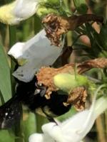 View photo in a new window