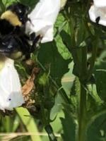 View photo in a new window