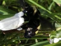 View photo in a new window