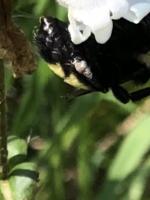 View photo in a new window