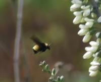 View photo in a new window