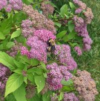 View photo in a new window