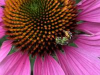 View photo in a new window