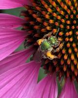 View photo in a new window