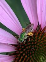 View photo in a new window