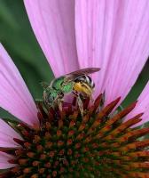 View photo in a new window