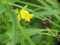 View photo in a new window