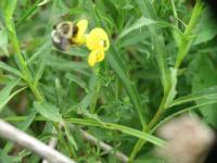 View photo in a new window