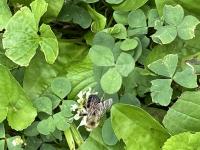 View photo in a new window