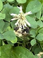 View photo in a new window