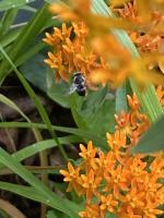 View photo in a new window