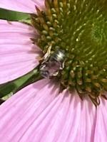 View photo in a new window