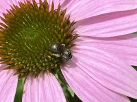 View photo in a new window