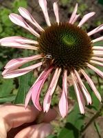 View photo in a new window