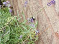 View photo in a new window