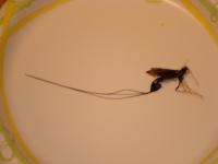 View photo in a new window