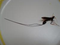 View photo in a new window