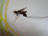 View photo in a new window