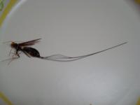 View photo in a new window