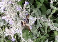 View photo in a new window