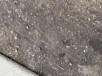 View photo in a new window