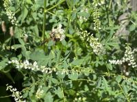 View photo in a new window