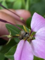 View photo in a new window