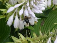 View photo in a new window