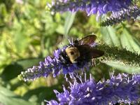 View photo in a new window