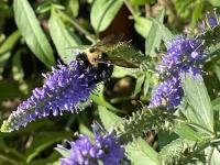 View photo in a new window