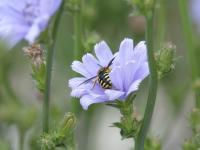 View photo in a new window